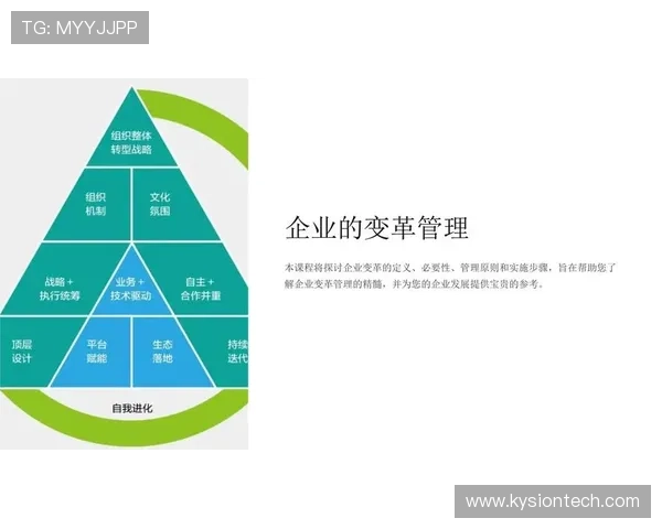 亚星管理网在企业管理中的应用案例与成功经验分享